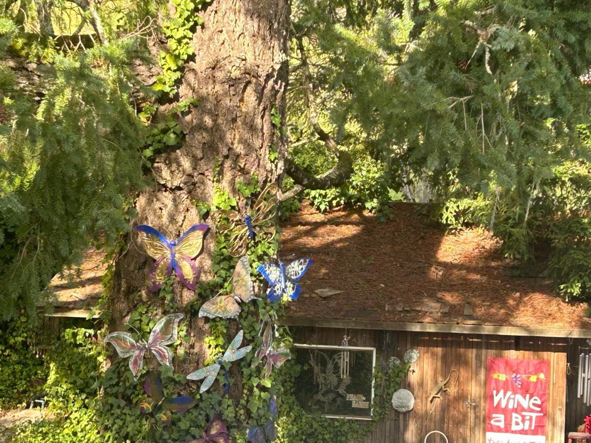 לינה וארוחת בוקר קליסטוגה Foothill House מראה חיצוני תמונה
